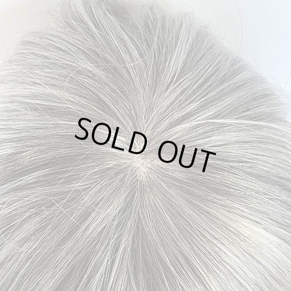 画像5: センターパートナチュラルハッシュカット 【white blonde】 (5)