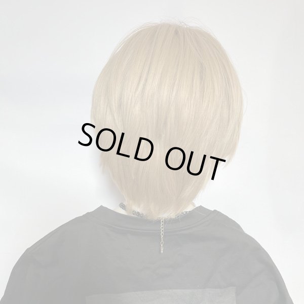 画像3: Ｉ型レースリアルスキンセンターパートコンマヘア【Champagne Gold】 (3)